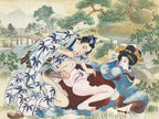 Japanese Shunga Art Vtg Handpainted Silk Garden Outside Summer FL506