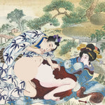 Japanese Shunga Art Vtg Handpainted Silk Garden Outside Summer FL506