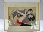 Japanese Shunga Erotic Art Vtg Hand-painted Toyokuni III Hiroshige Utagawa FL497
