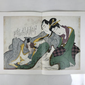Japanese Shunga Ukiyoe Erotic Art Information Book Hokusai