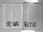 Japanese Shunga Ukiyoe Erotic Art Information Book Hokusai Woodblock Print FL408