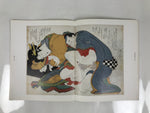 Japanese Shunga Ukiyoe Erotic Art Information Book Hokusai Woodblock Print FL408