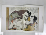 Japanese Shunga Ukiyoe Erotic Art Information Book Hokusai Woodblock Print FL408