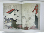 Japanese Shunga Ukiyoe Erotic Art Information Book Hokusai Woodblock Print FL410