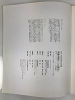 Japanese Shunga Ukiyoe Erotic Art Information Book Hokusai Woodblock Print FL410