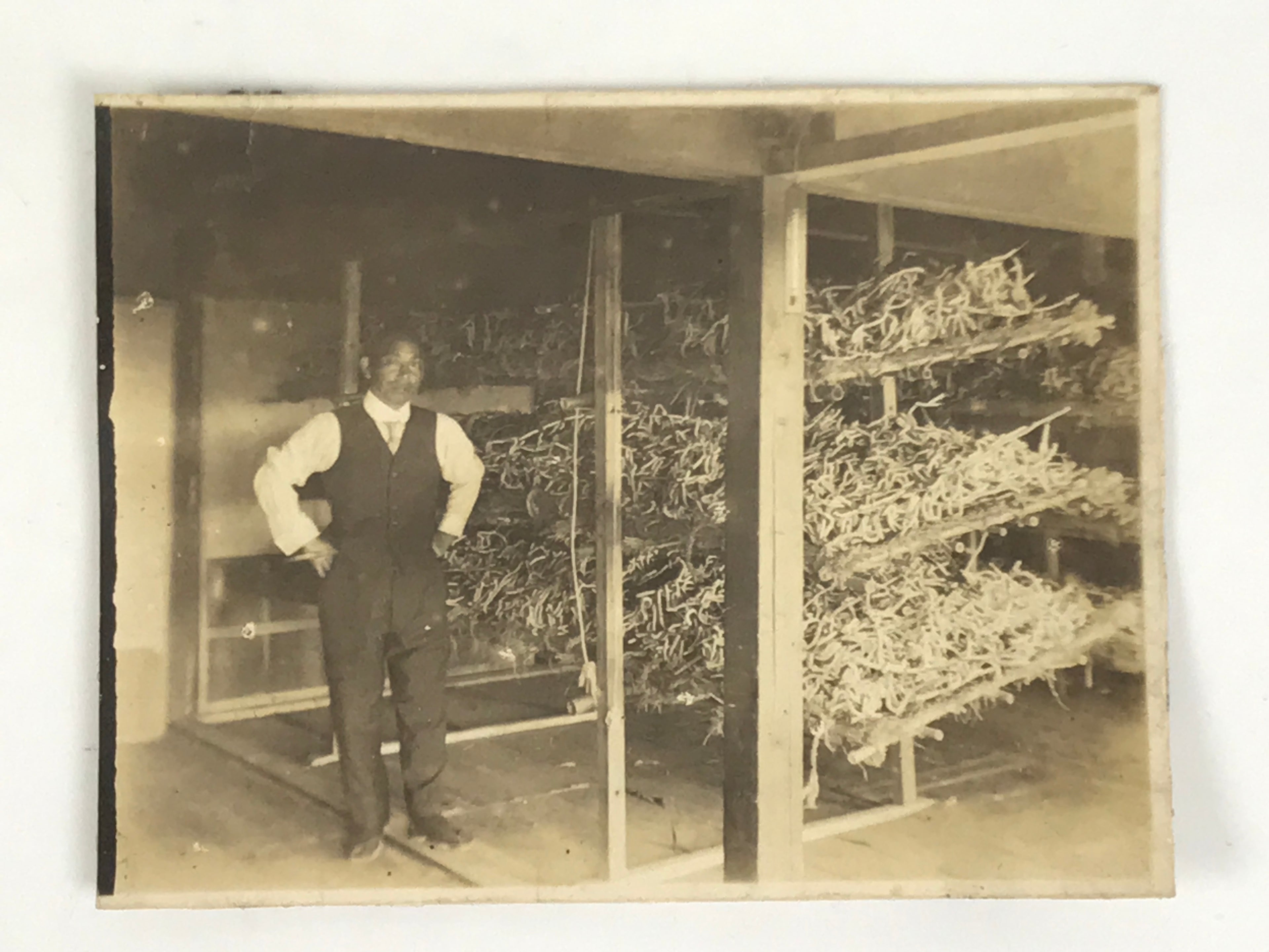 Japanese Silk Worm Farm Photograph Vtg Textile Production Daily Life Sepia PH190