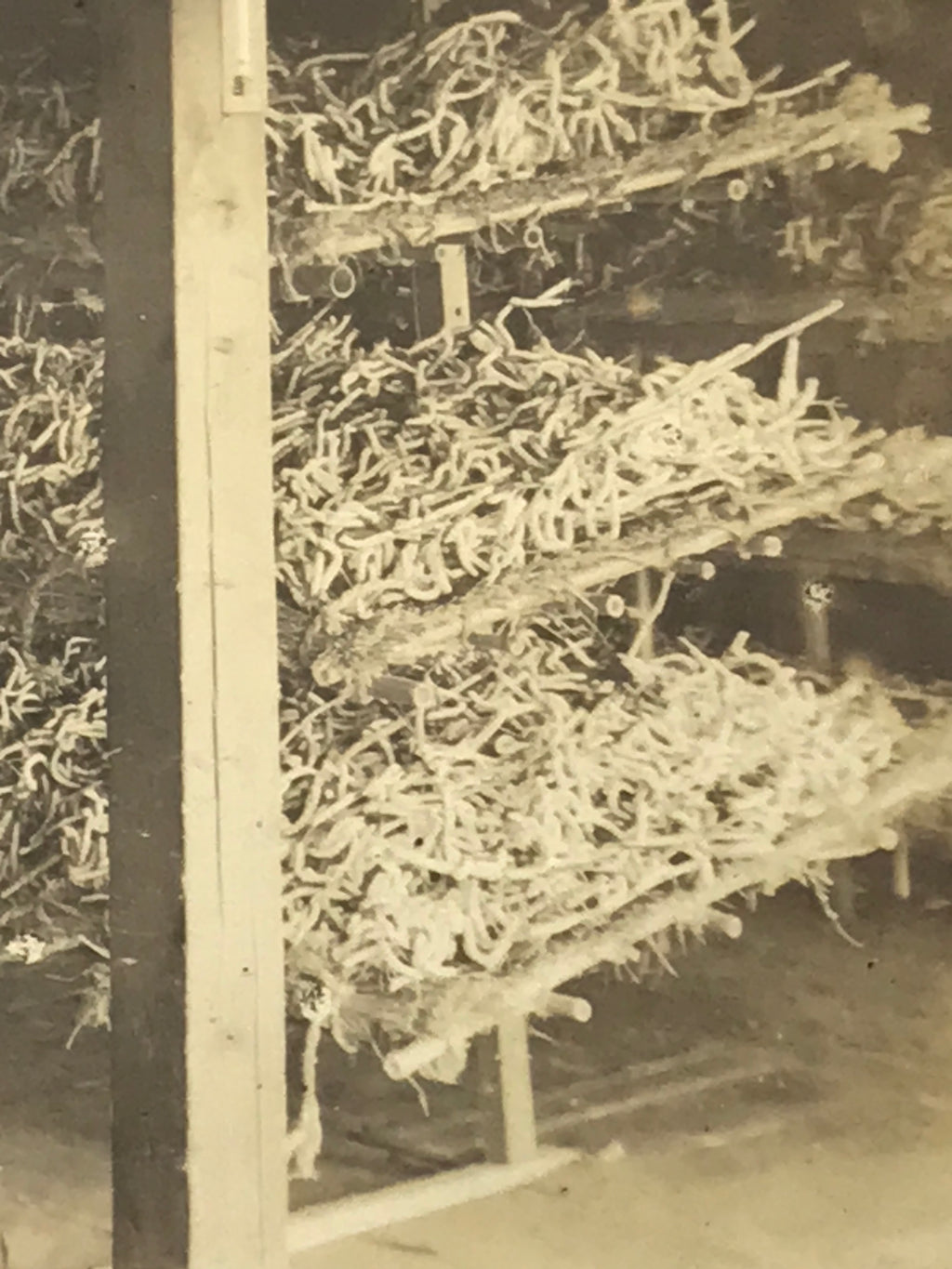 Japanese Silk Worm Farm Photograph Vtg Textile Production Daily Life Sepia PH190
