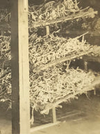 Japanese Silk Worm Farm Photograph Vtg Textile Production Daily Life Sepia PH190