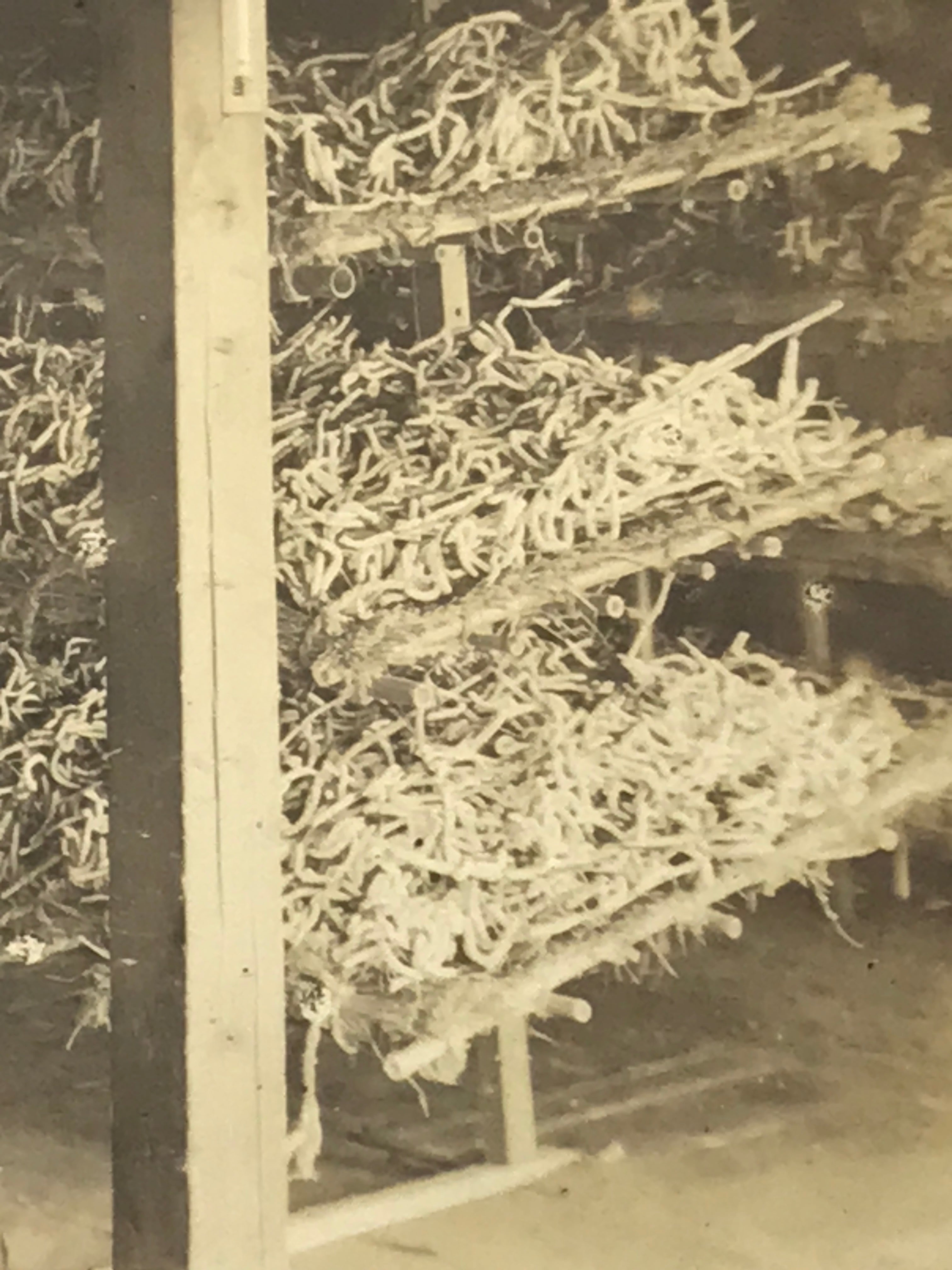 Japanese Silk Worm Farm Photograph Vtg Textile Production Daily Life Sepia PH190