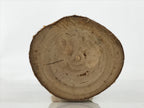 Japanese Souvenir Wooden Kokeshi Doll Vtg Landscape Poem Momiji Birch KF741