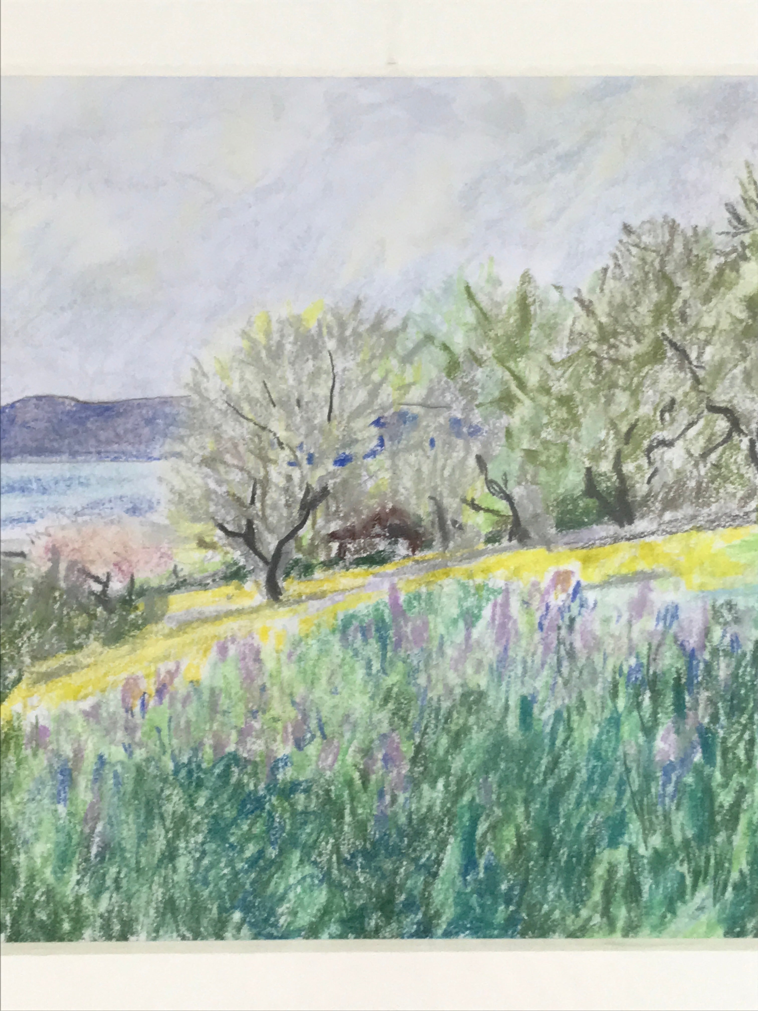 Japanese Spring Field Landscape Pastel Drawing Original Art Unsigned FL332