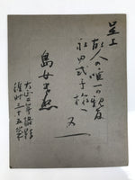 Japanese Taisho Young Woman Funeral Portrait Photograph Kimono Black White PH90