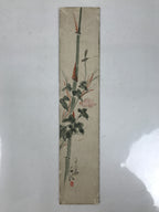 Japanese Tanzaku Shikishi Art Board Bamboo Pink Flower Morning Glory A733