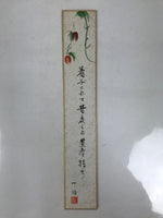 Japanese Tanzaku Shikishi Art Board Chinese Lantern Plant Calligraphy Poem A736