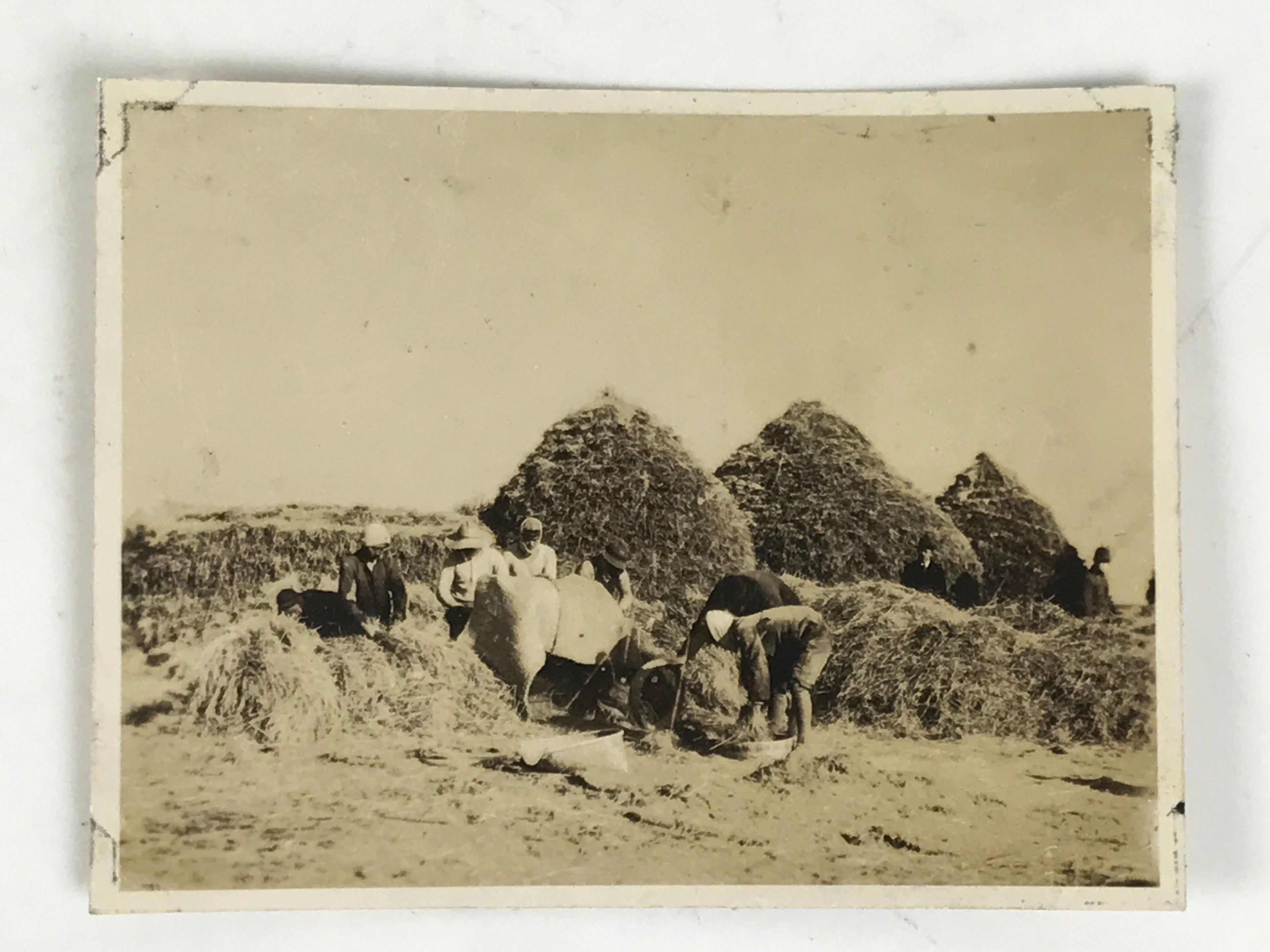 Japanese Tokai Village Rice Threshing Photograph Vtg Farm Daily Life Sepia PH191