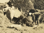 Japanese Tokai Village Rice Threshing Photograph Vtg Farm Daily Life Sepia PH191