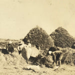 Japanese Tokai Village Rice Threshing Photograph Vtg Farm Daily Life Sepia PH191