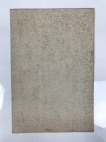 Japanese Ukiyoe Oiran Portrait Eishi Bijinga Geisha Woodblock Print Color FL454