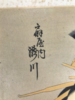 Japanese Ukiyoe Oiran Portrait Eishi Bijinga Geisha Woodblock Print Color FL454