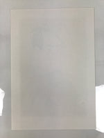 Japanese Ukiyoe Toshusai Sharaku Kabuki Actor Portrait Woodblock Print FL437