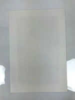 Japanese Ukiyoe Toshusai Sharaku Kabuki Actor Portrait Woodblock Print FL438