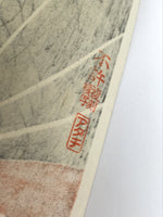 Japanese Ukiyoe Toshusai Sharaku Kabuki Actor Portrait Woodblock Print FL440