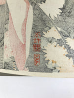 Japanese Ukiyoe Toshusai Sharaku Kabuki Actor Portrait Woodblock Print FL443