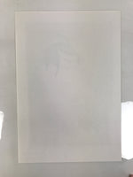 Japanese Ukiyoe Toshusai Sharaku Kabuki Actor Portrait Woodblock Print FL447