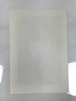 Japanese Ukiyoe Toshusai Sharaku Kabuki Actor Portrait Woodblock Print FL448