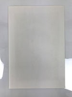 Japanese Ukiyoe Toshusai Sharaku Kabuki Actor Portrait Woodblock Print FL449