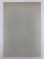 Japanese Utamaro Selection Ukiyoe Woodblock Printing Hanga Lady After Bath FL192