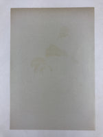 Japanese Utamaro Selection Ukiyoe Woodblock Printing Hanga Reading Letter FL198