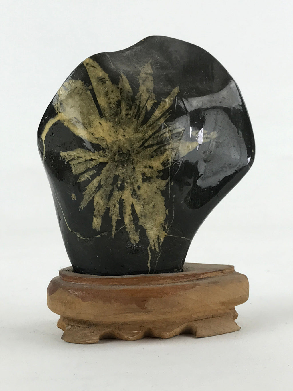 Japanese Viewing Stone Zen Buddhist Vtg Ornament Natural Chrysanthemum BD901
