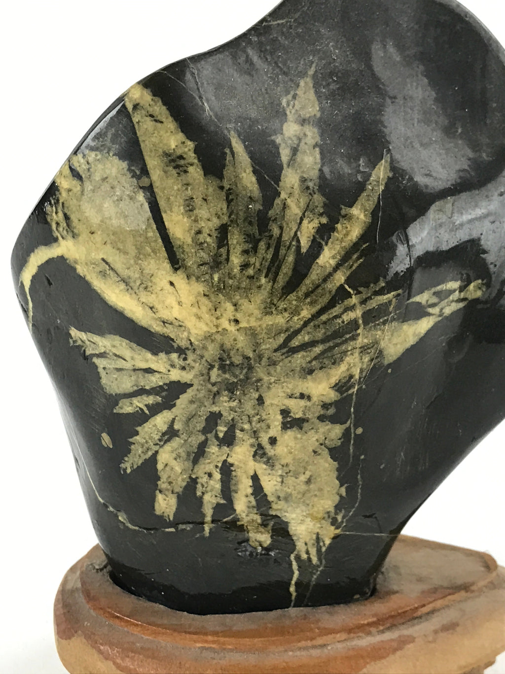 Japanese Viewing Stone Zen Buddhist Vtg Ornament Natural Chrysanthemum BD901