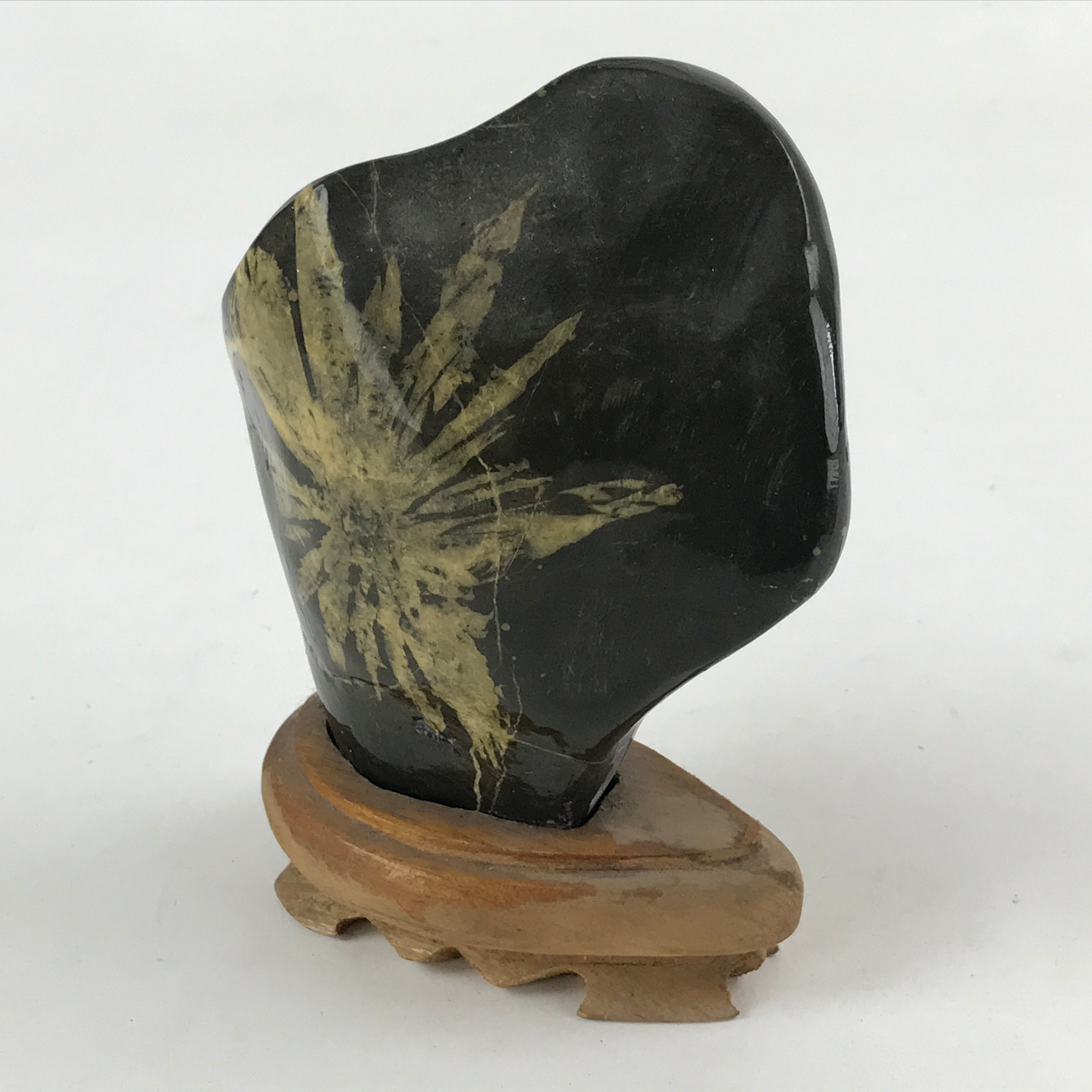 Japanese Viewing Stone Zen Buddhist Vtg Ornament Natural Chrysanthemum BD901