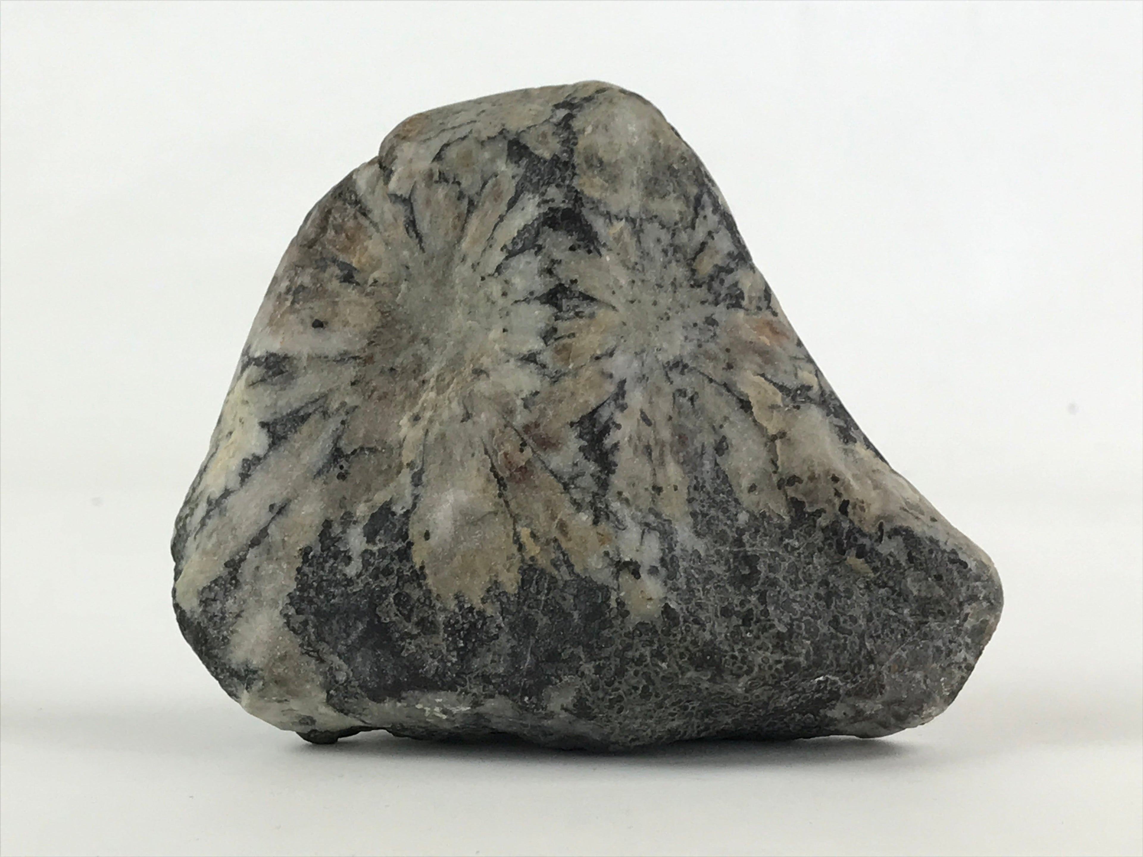 Japanese Viewing Stone Zen Buddhist Vtg Suiseki Radiant White JK558
