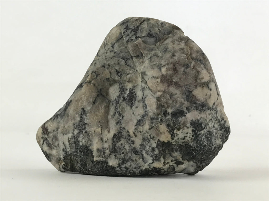 Japanese Viewing Stone Zen Buddhist Vtg Suiseki Radiant White JK558
