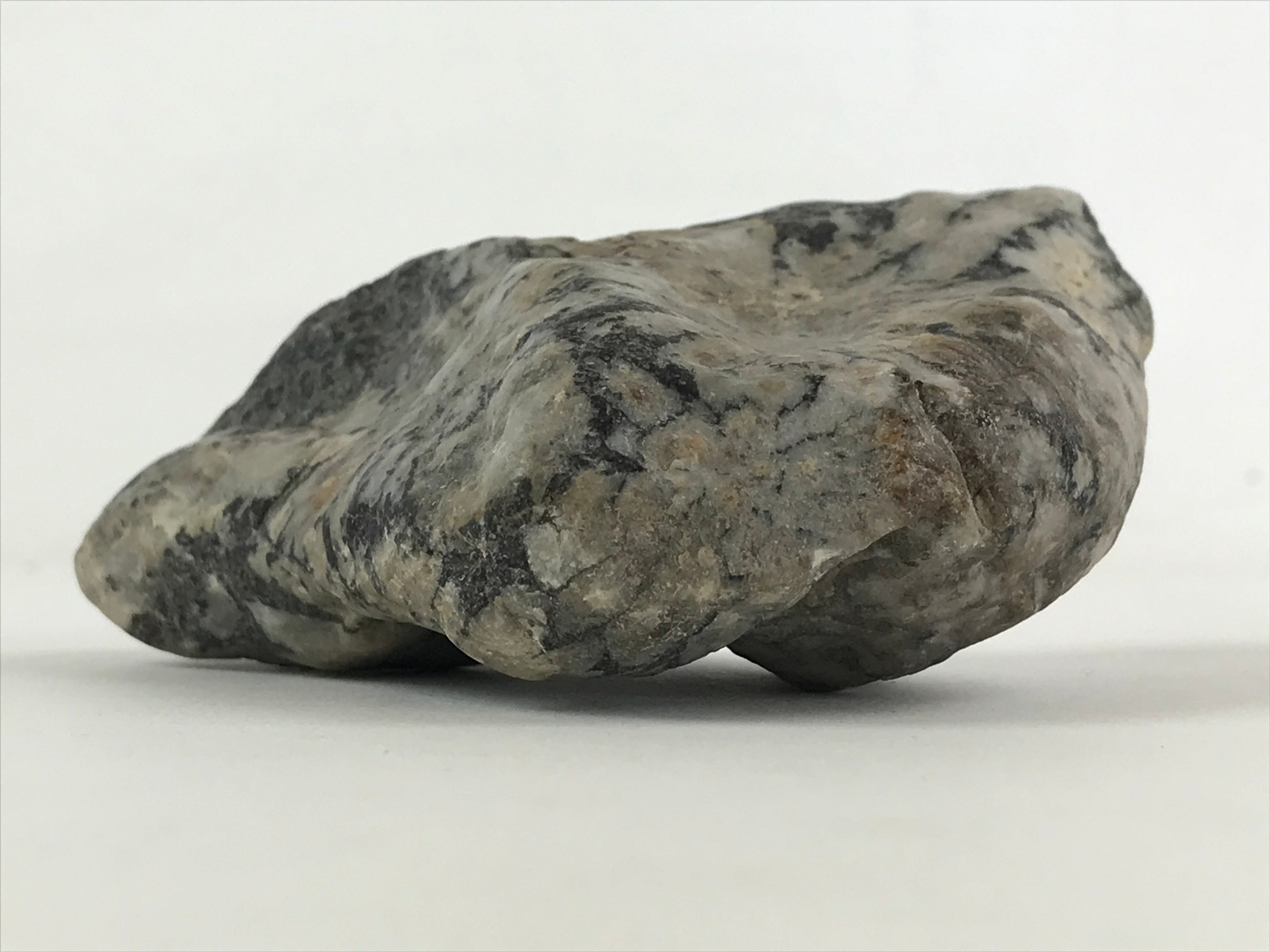 Japanese Viewing Stone Zen Buddhist Vtg Suiseki Radiant White JK558