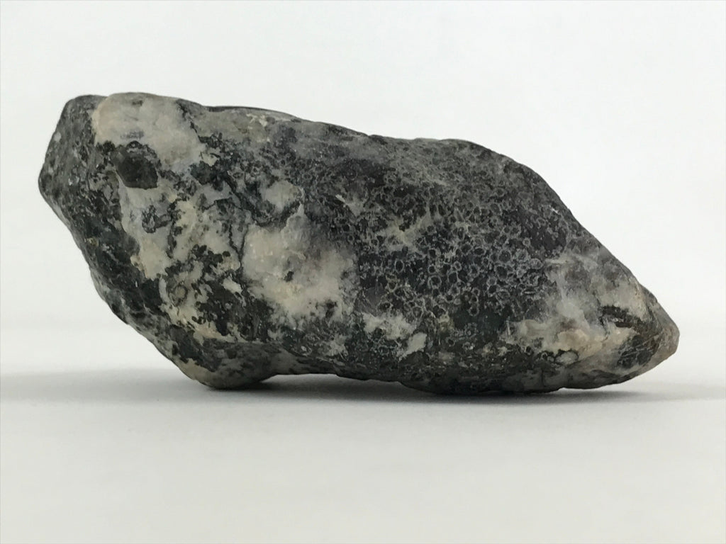 Japanese Viewing Stone Zen Buddhist Vtg Suiseki Radiant White JK558
