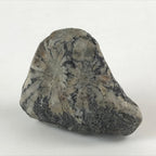 Japanese Viewing Stone Zen Buddhist Vtg Suiseki Radiant White JK558