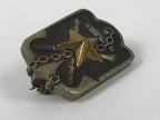 Japanese WW2 Army Post Service Society Metal Pin Badge Vtg Star Black JK808
