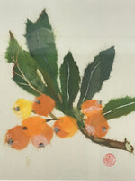 Japanese Washi Paper Framed Shikishi Art Vtg Suzue Tsuzuki Mikan Oranges FR3