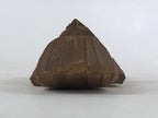 Japanese Wood Carved Ainu Statue Vtg Handcrafted Sculpture Hokkaido Brown AB107