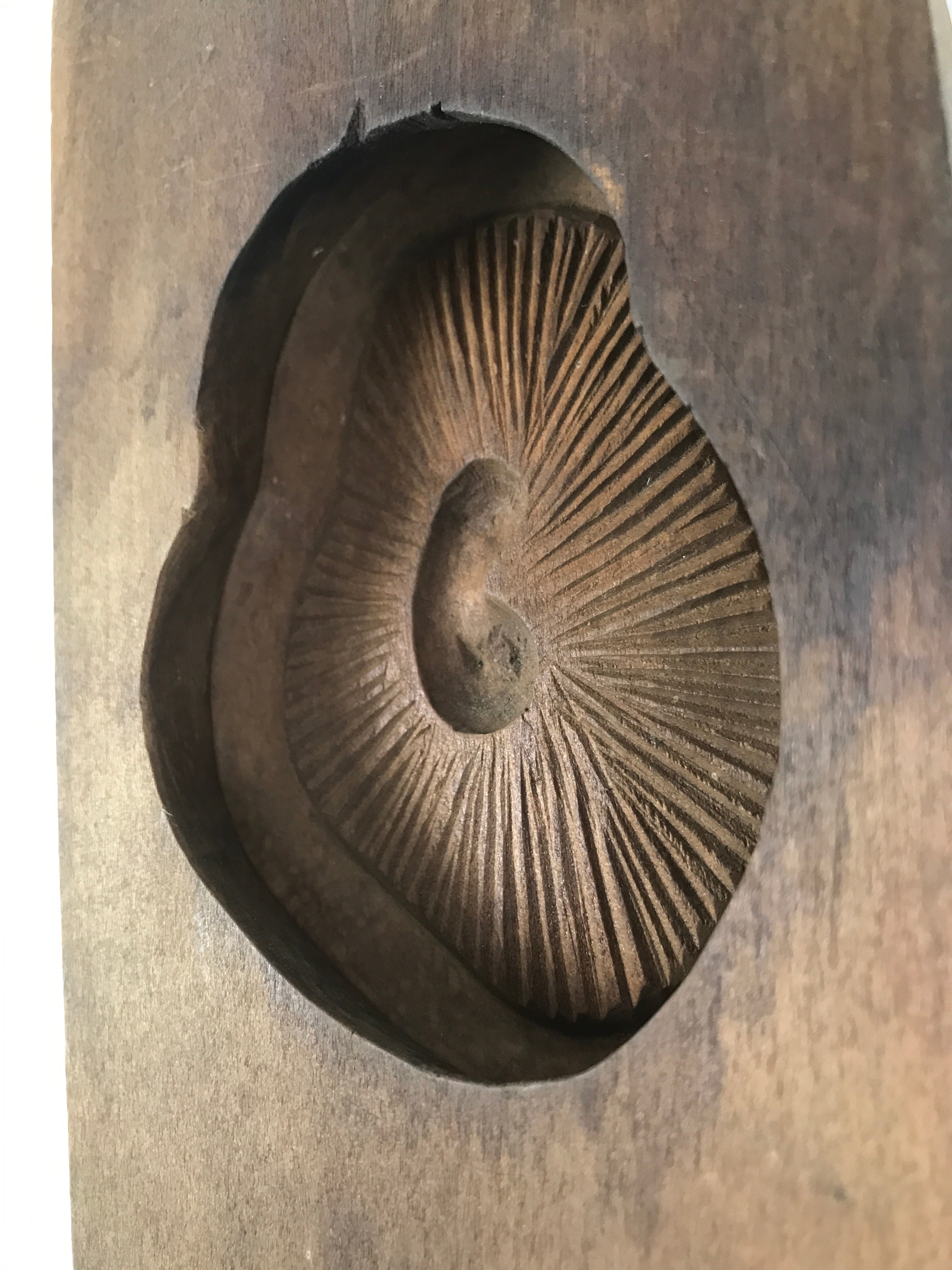 Japanese Wood Carved Kashigata Cake Mold Sweet Wagashi Shiitake Mushroom Kg602