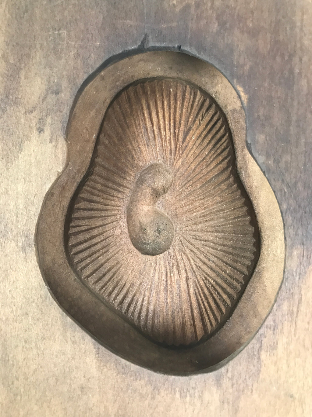 Japanese Wood Carved Kashigata Cake Mold Sweet Wagashi Shiitake Mushroom Kg602