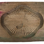 Japanese Wood Carved Kashigata Cake Mold Sweet Wagashi Shiitake Mushroom Kg726