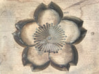 Japanese Wood Carved Kashigata Cake Mold Vtg Sweet Wagashi Cherry Blossom Kg591
