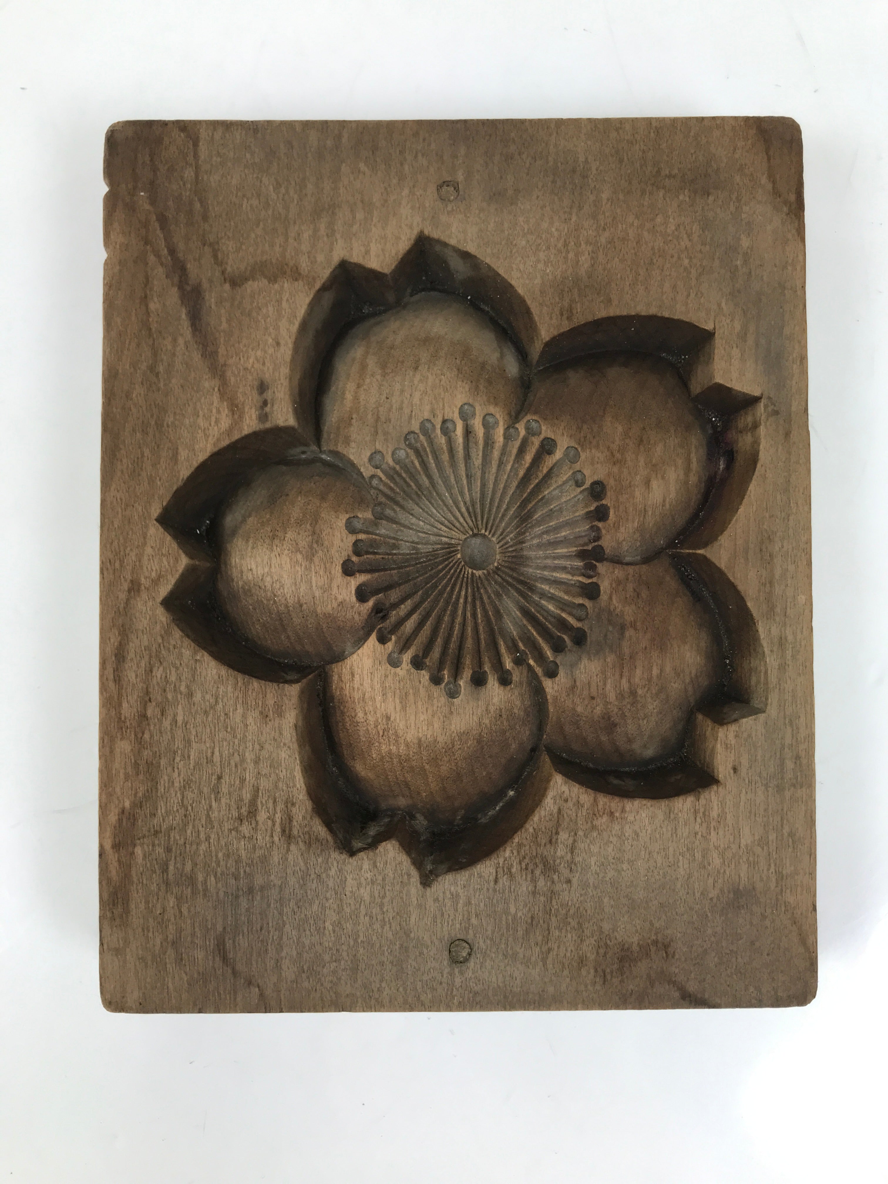 Japanese Wood Carved Kashigata Cake Mold Vtg Sweet Wagashi Cherry Blossom Kg591
