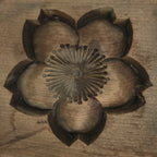 Japanese Wood Carved Kashigata Cake Mold Vtg Sweet Wagashi Cherry Blossom Kg591