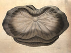 Japanese Wood Carved Kashigata Cake Mold Vtg Sweet Wagashi Lotus Leaf Kg576